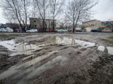 Drugi ogród deszczowy powstanie w Lesznie? Tym razem z parkingiem. Miejsce to błotnisty teren za ćwicznią