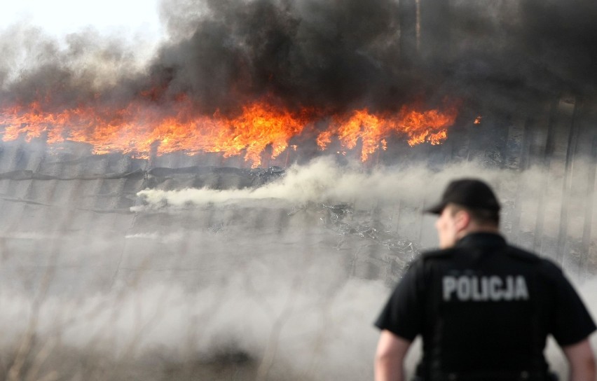 Pożar hali w Gdyni: Spaliła się hala przy Vistalu (okolice ul. Hutniczej) ZDJĘCIA Z AKCJI