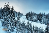 W miastach śniegu nie uświadczycie. W górach jednak zima trzyma się mocno. Czynne są stacje narciarskie na Szrenicę, Kopę i Stóg Izerski