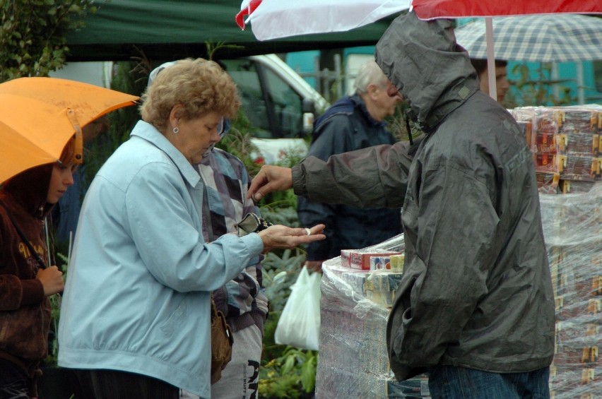Targi ogrodnicze w Strzelinie 2012: Zobacz jak było na jesiennych targach [FOTO+FILM]