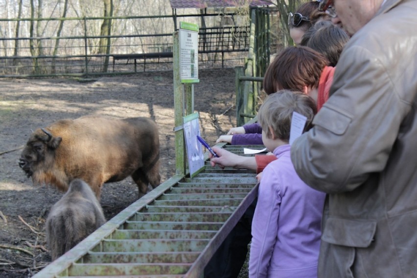 Tak żegnano zimę w ZOO w Myslęcinku