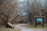 Rezerwat przyrody Jeziorko Czerniakowskie z nowymi tablicami na ścieżce edukacyjnej. Zmiany jeszcze w tym roku
