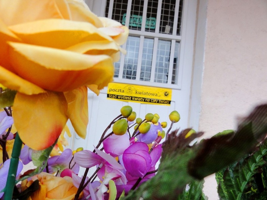 Kwiaciarnia Florist w Sławnie - prezentacja - zdjęcia