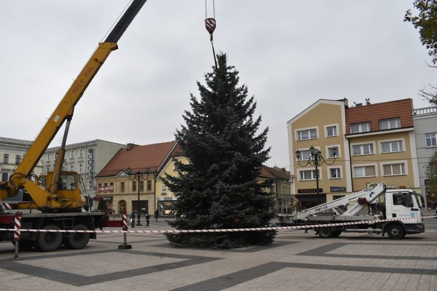 Chonka w Rybniku już na rynku! Drzewko z dzielnicy Niewadom na Boże Narodzenie 2018