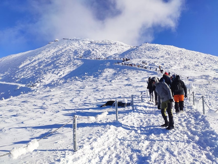 Śnieżka w zimowej szacie i bezmyślni turyści zdobywający szczyt. Te zachowania wprawiają w osłupienie