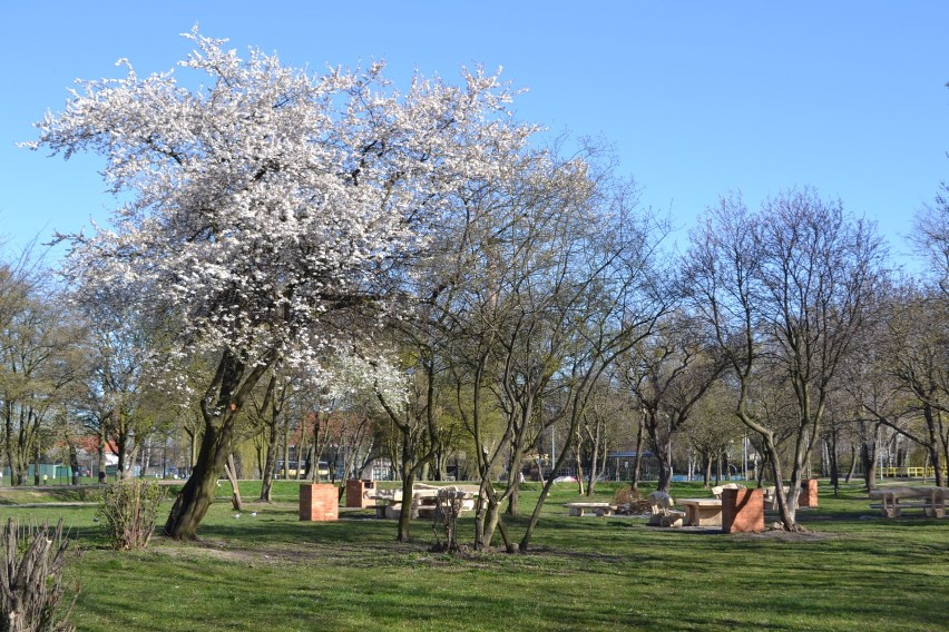 Pruszcz Gdański: Park grillowy przy Raduni gotowy [ZDJĘCIA]