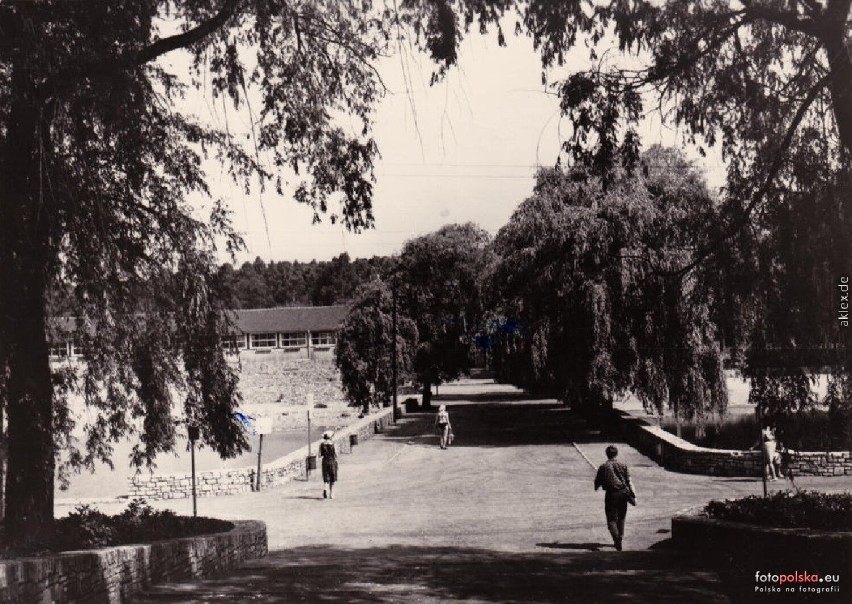 1967, Park na terenie Kąpieliska Leśnego w latach 60-tych XX...