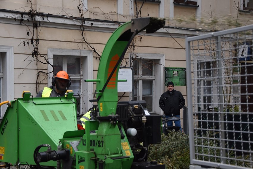 Takie maszyny zrębkują choinki. Jest szum, ale i piękny...