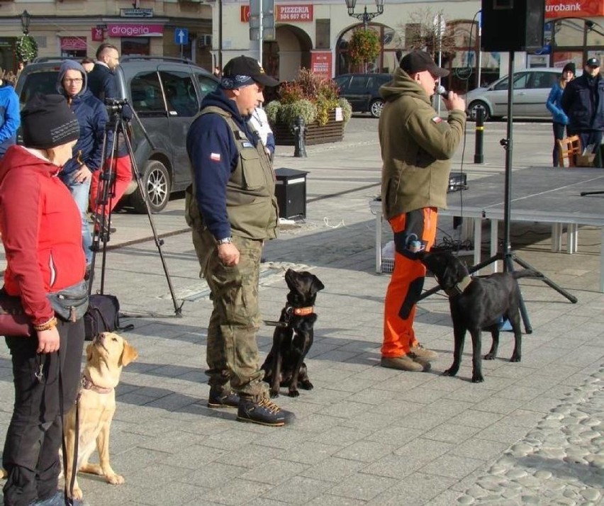 Gdy Jerzy Herma skończył z pracą na etacie dyżurnego w...