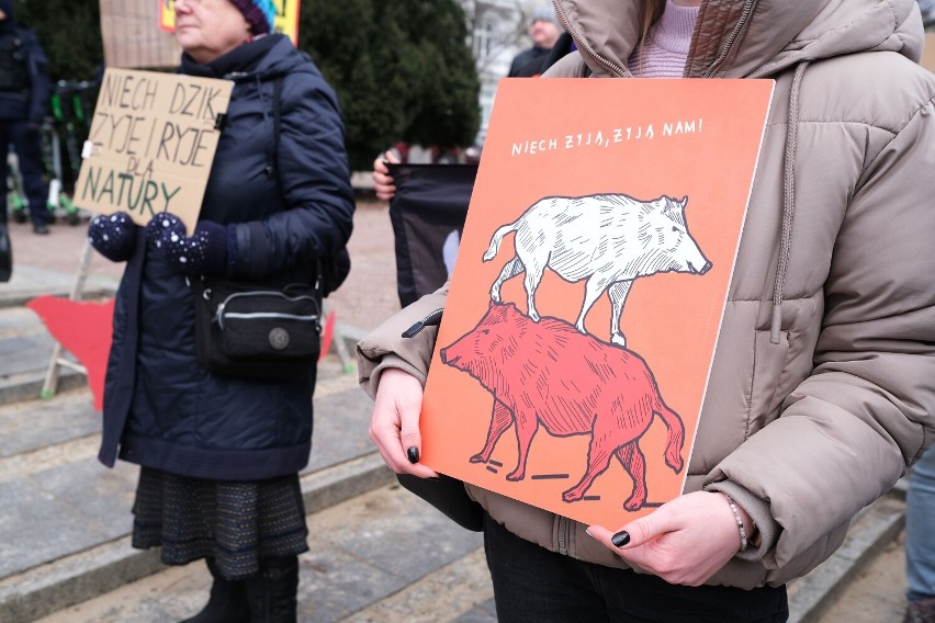 Protest w centrum Warszawy. "Stop rzezi dzików!". Trwa manifestacja przy rondzie de Gaulle'a