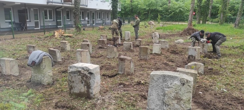 Usteccy wolontariusze uporządkowali stary cmentarz w Poddąbiu