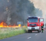 Powiat wolsztyński. Płonęły zboża. Rolniku pamiętaj o bezpieczeństwie!