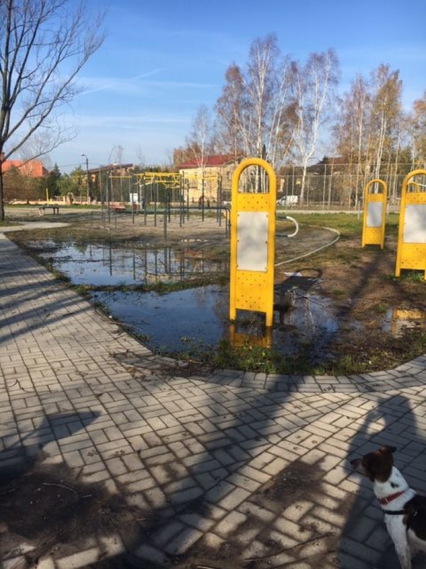 Place zabaw w Kaliszu. Kto o nie dba? Mamy odpowiedź ratusza