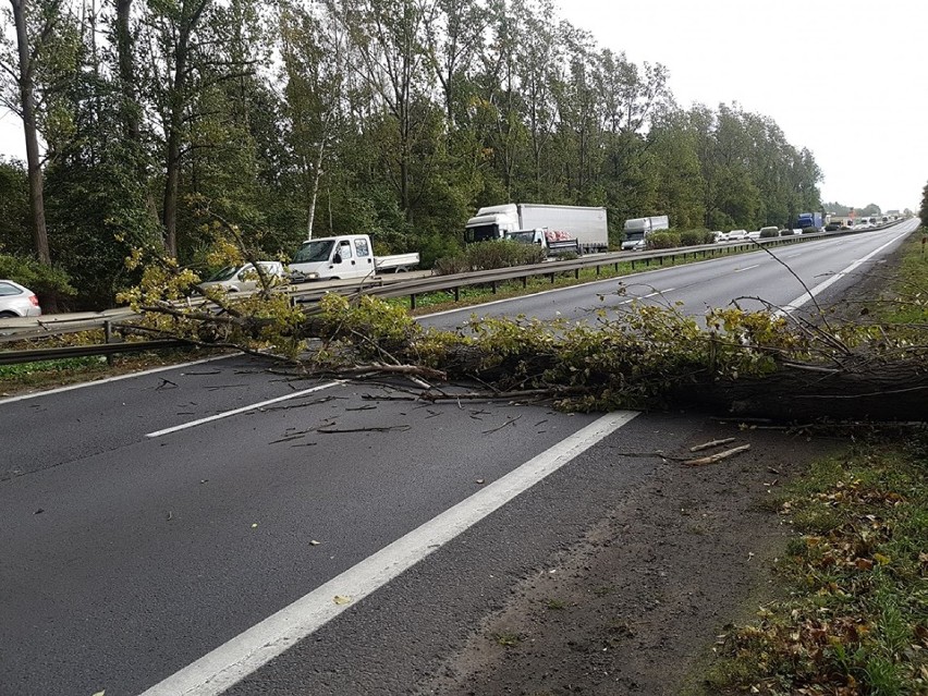 Niż Mortimer nad woj. śląskim. Silny wiatr i sporo interwencji straży pożarnej [ZDJĘCIA] 