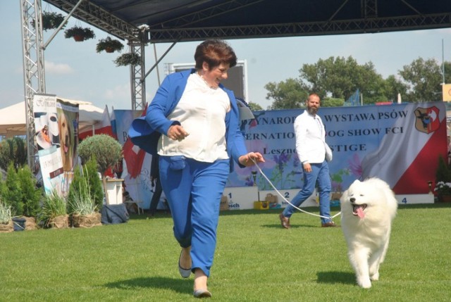 Międzynarodowa wystawa psów w Lesznie