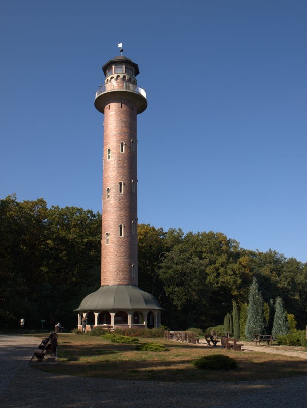 Latarnia w leśnym oceanie