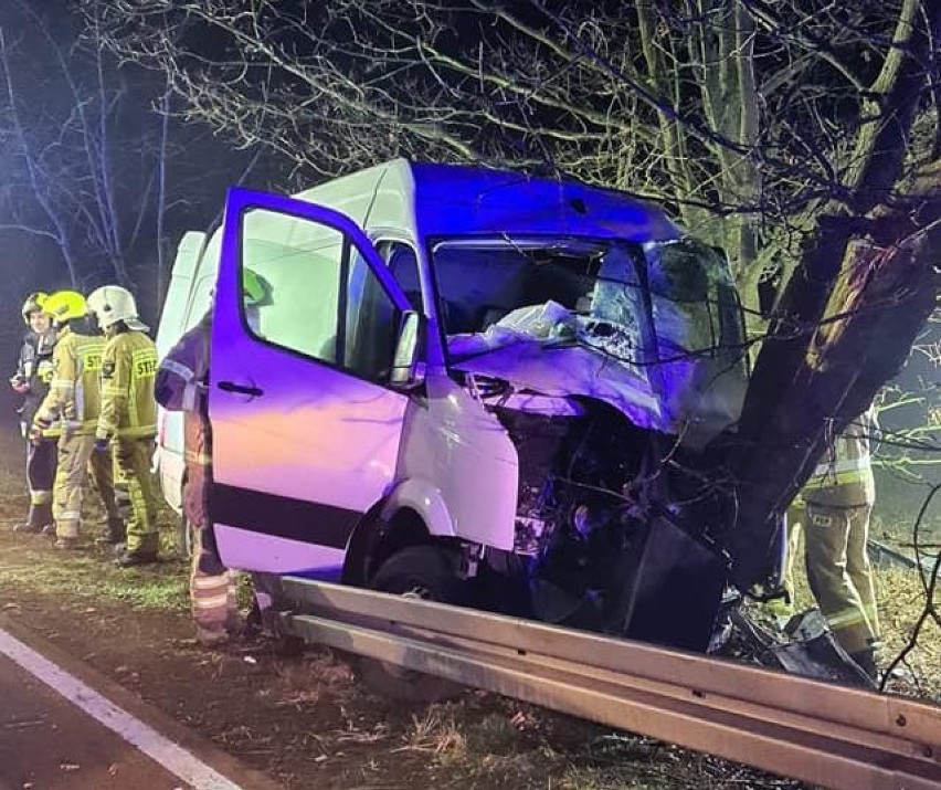 Pod Goleniowem bus uderzył w drzewo. Kierowca trafił do szpitala