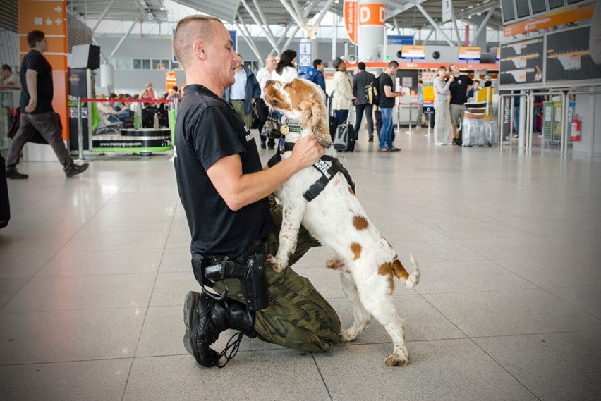 Psy służbowe wykonują różne obowiązki w Straży Granicznej.