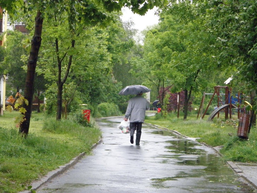 Ulewy w Żorach. Jak wygląda nasze miasto? [ZDJĘCIA]