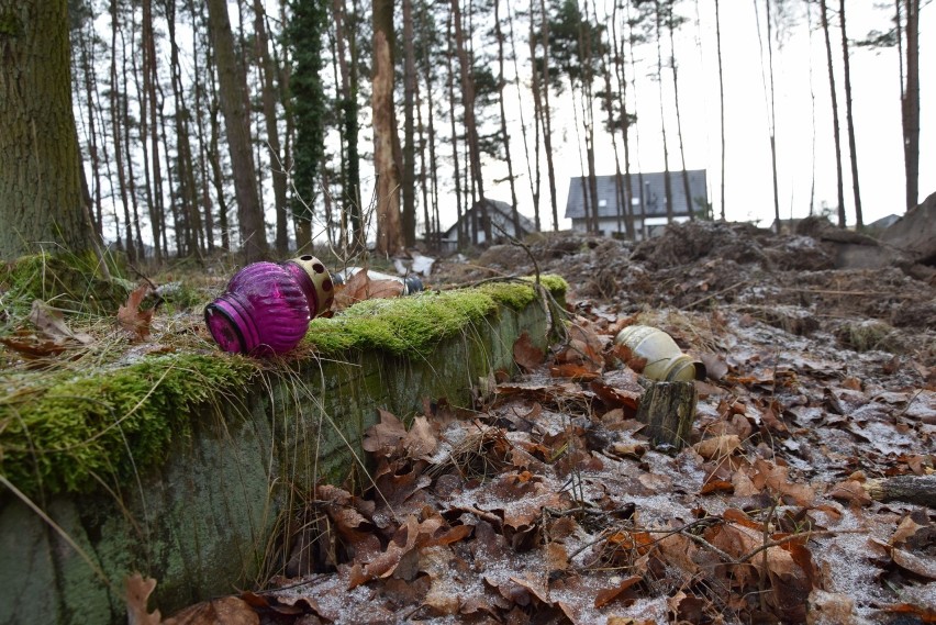 Dawny cmentarz we Wrociszowie, w gminie Nowa Sól. Tutaj...