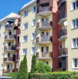 Najnowsze oferty mieszkań na sprzedaż we Włocławku. Zobacz zdjęcia - 6 lipca 2023