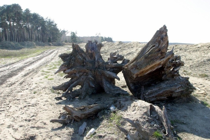 Zbiornik Kotlarnia. Zaleją wodą tysiąc hektarów ziemi. Jak teraz wygląda dno nowego opolskiego jeziora?