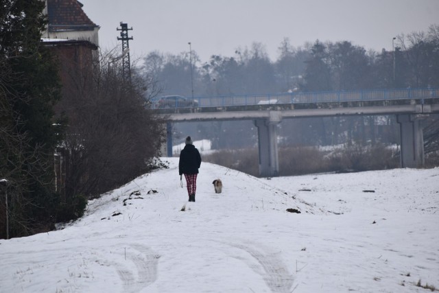Tak zimą prezentuje się widok z wału przeciwpowodziowego na most Daniela Kęszyckiego. To właśnie na tym fragmencie wału ma biec promenada proponowana przez radnego Andrzeja Mieloszyńskiego