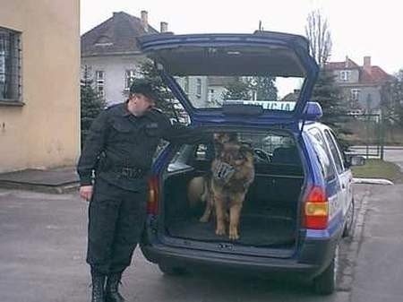 Mosińscy policjanci jako jedyni w powiecie poznańskim mają na etacie psa Opla, którym opiekuje się st. sierż. Stanisław Przynoga.