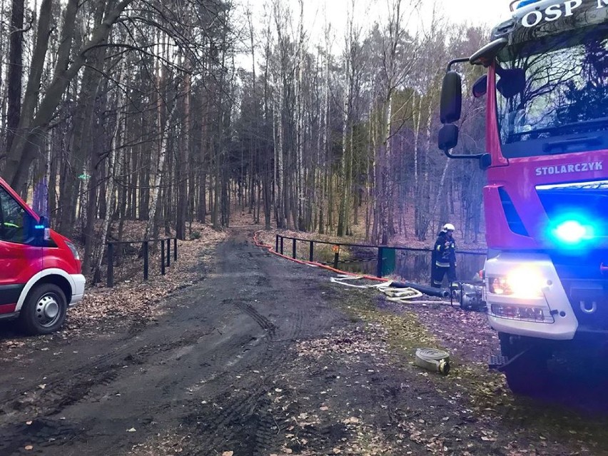 Straż w powiecie chodzieskim została zaalarmowana o pożarze lasu. Okazało się, że to niezapowiedziana inspekcja