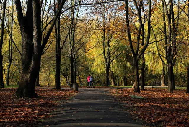 7.11.19krakow
park lotnikow polskich
fot. adam mackowski
 *** local caption *** uwaga zakaz publikacji poza grupa polska press