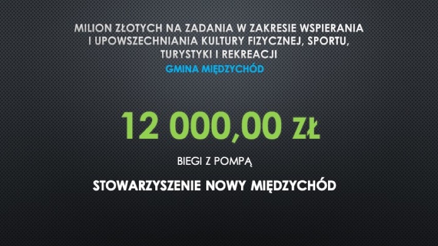 Milion złotych na sport, turystykę i rekreację w...