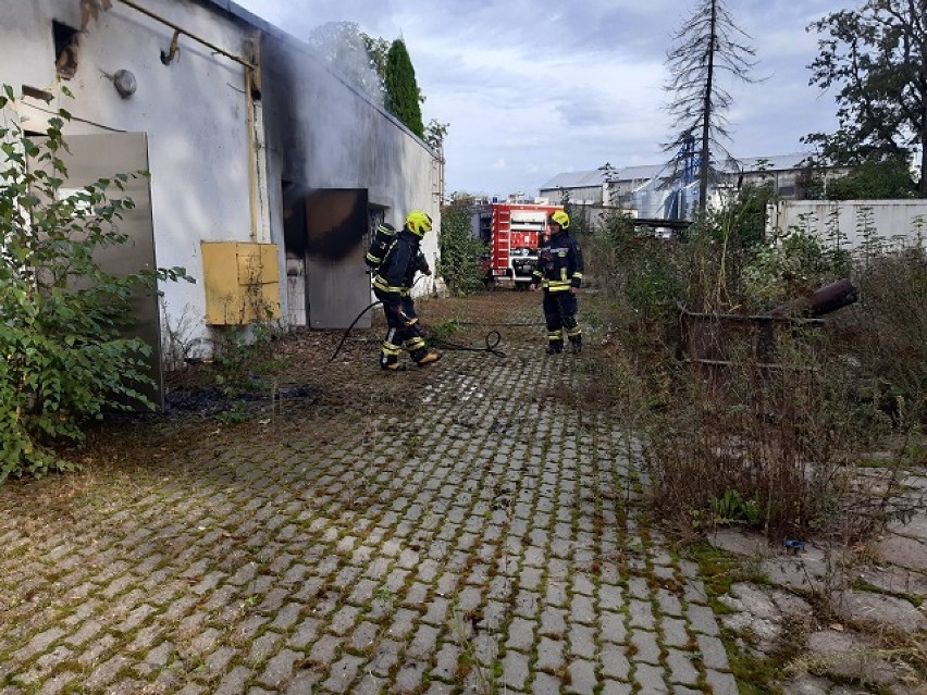 Lotyń. Doszło do pożaru budynku produkcyjno-administracyjnego obecnie pustostanu w Lotyniu