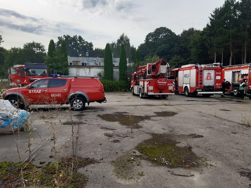 Lotyń. Doszło do pożaru budynku produkcyjno-administracyjnego obecnie pustostanu w Lotyniu