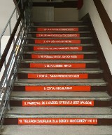 Naklejki edukacyjne na schodach w szkołach podstawowych [zdjęcia]