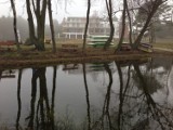 Jezioro Powidzkie - pięknie o każdej porze roku [ZDJĘCIA]
