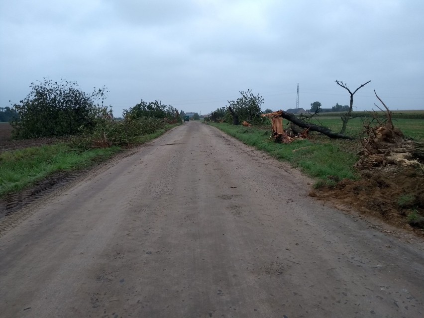 Trwają inwestycje drogowe w gminie Śmigiel [ZDJĘCIA]