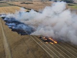 Przyszła wiosna i w regionie znów płoną trawy oraz nieużytki  