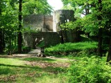 Zamek Bolczów - Janowice Wielkie