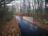 Mężczyzna sam sprzątał ścieżkę rowerową na prawobrzeżu Szczecina. Teraz zrobi to miasto