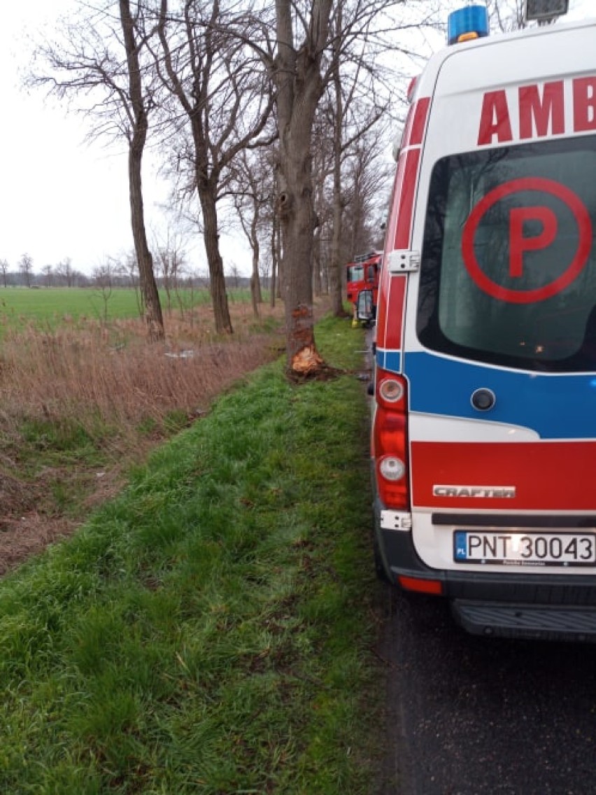 Śmiertelny wypadek na trasie Przyprostynia - Chobienice. Auto uderzyło w drzewo [ZDJĘCIA]