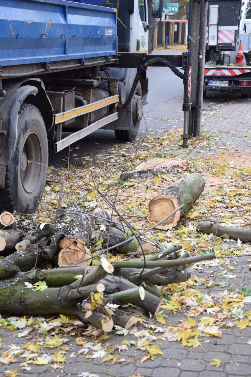 Pierwsze drzewa wycięto przy ul. św. Stanisława i na Skwerze...