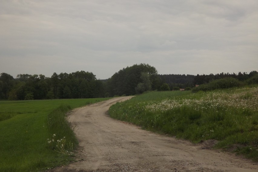 Chcą zbudować pięć kilometrów dróg w gminie Ciechocin. Samorząd buduje asfalty 