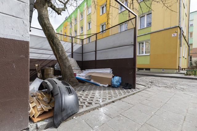 Przez dłuższy czas na osiedlu Leśnym w Bydgoszczy nikt nie wywoził śmieci. Mieszkańcy nawet zaczęli fotografować szczury, które nagle pojawiły się w okolicy. Wszystko przez... remont parkingu.