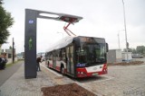 Elektryczne autobusy w Opolu. Solaris wygrał przetarg i dostarczy kolejne ekologiczne pojazdy dla tutejszego MZK
