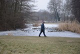 Kaczkomaty staną w warszawskich parkach? Miałyby karmić ptaki zimą
