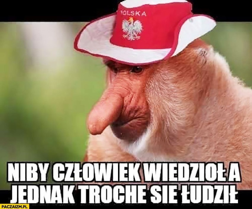 Memy z Czesławem Michniewiczem...