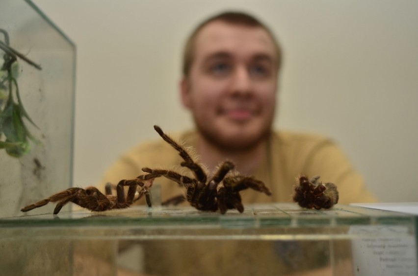 Atrakcje w ramach corocznej Nocy Biologów przygotowały Ogród...