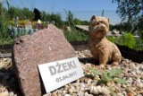 Tak wyglądają cmentarze dla zwierząt w Polsce. Zobaczcie zdjęcia