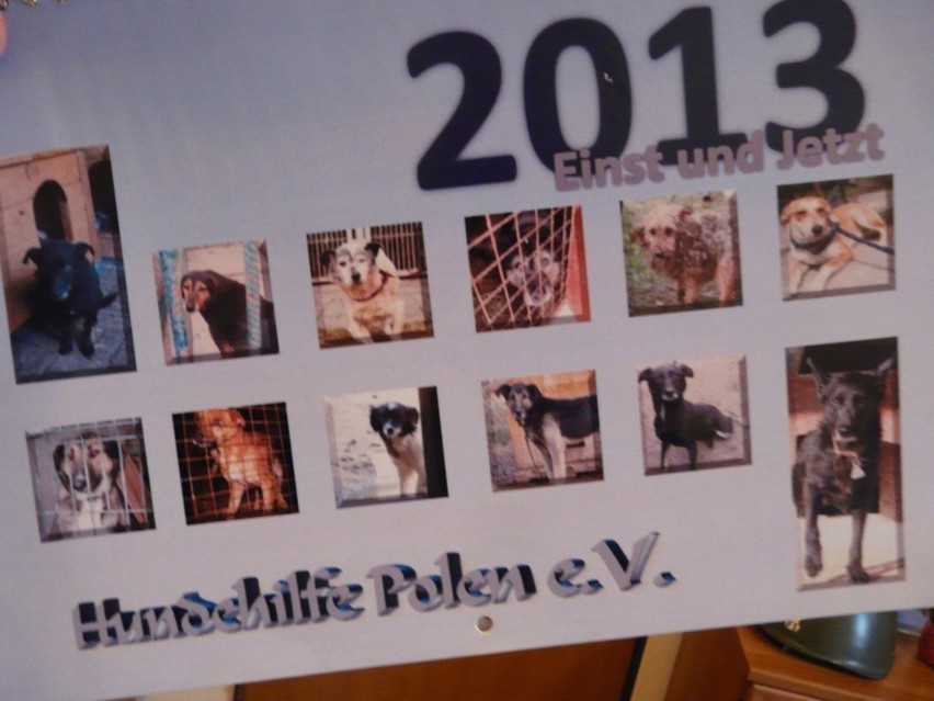 Psy z Radomska w kalendarzu fundacji Hundehilfe Polen