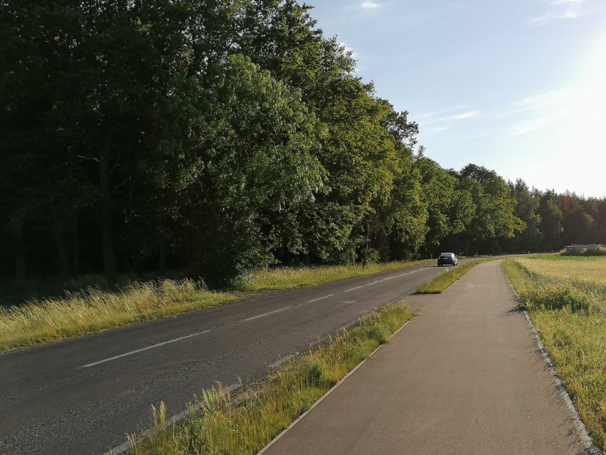 Powiat leszczyński. Prezentujemy ścieżkę rowerową na trasie Jezierzyce Kościelne - Gołanice [ZDJĘCIA] 